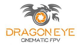 Webdesign-Referenz, Logo, Dragon Eye