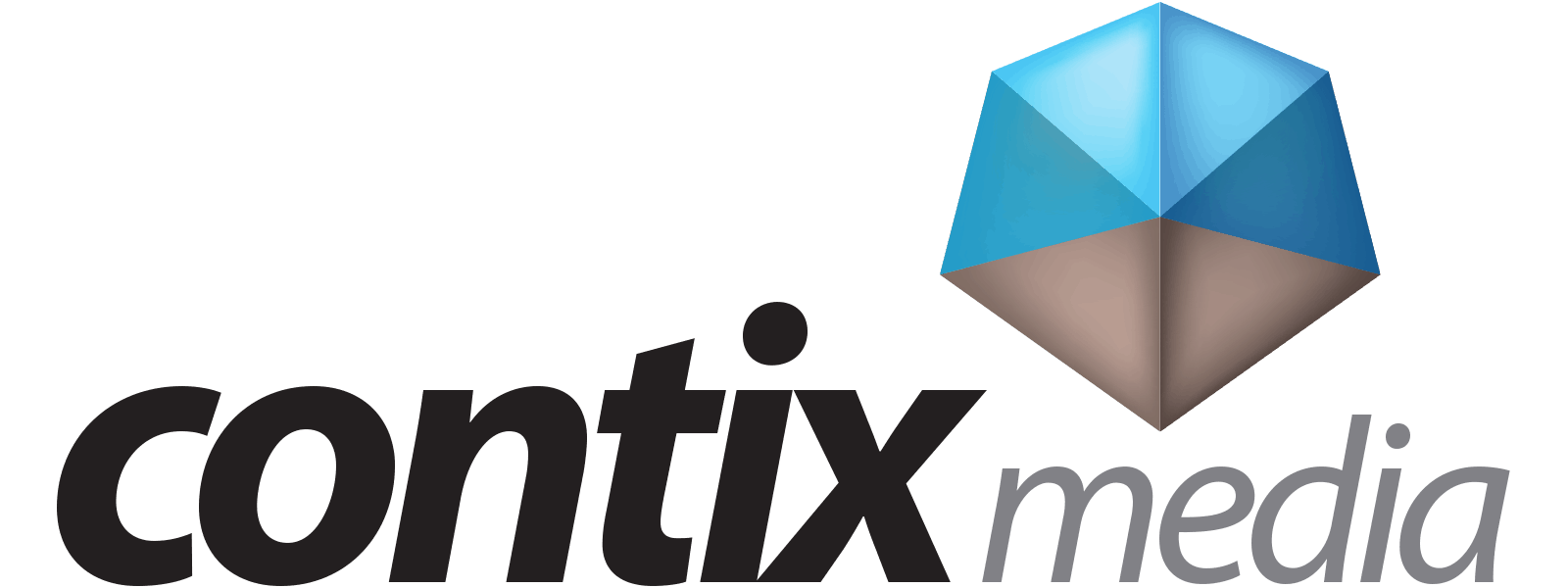 CONTIX Consulting GmbH & Co. KG