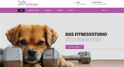 Vitadogile, Screenshot
