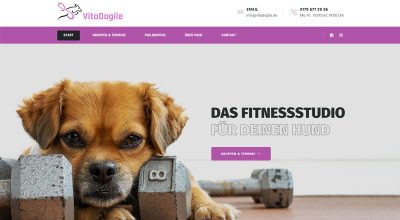 Vitadogile, Screenshot
