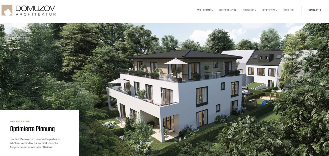 Website_Domuzov